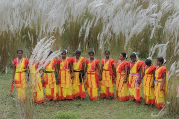 saharai dance
