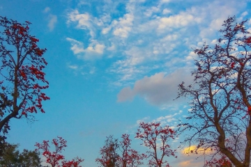 Blue sky