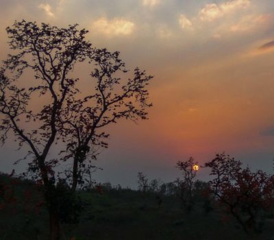 sunset web